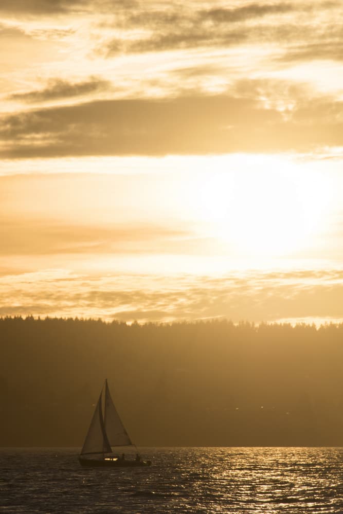 Golden Sailboat Sunset by Lynann Colligan — canvas wall art