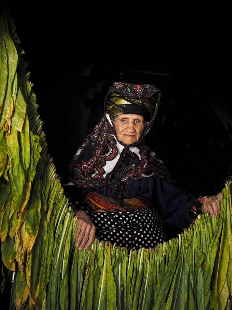 Elderly Woman Among Leaves by Bünyamin çadırcı — canvas wall art