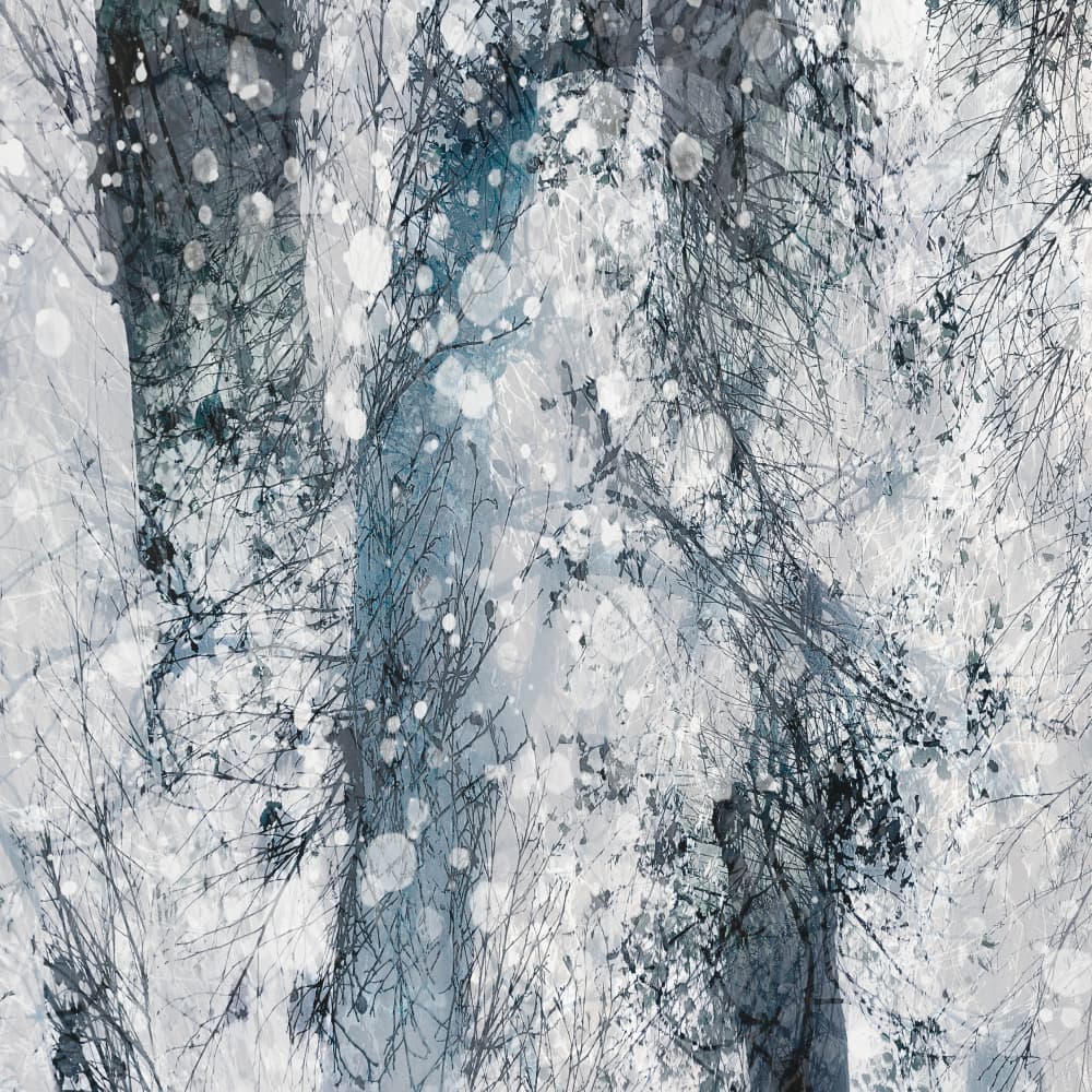 Fantasy in snow by Nel Talen — canvas wall art