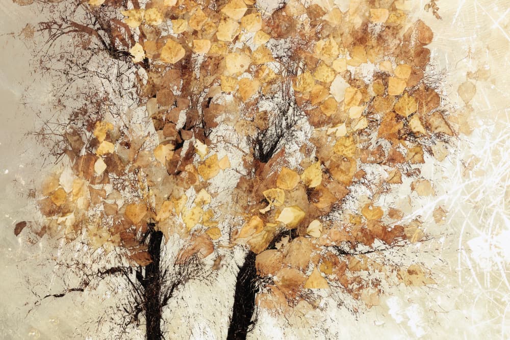 Captured moment by Nel Talen — canvas wall art