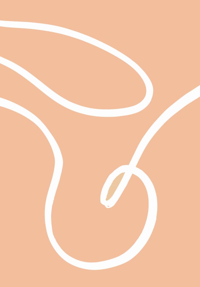 Fluid Peach Lines by Old Artists Studio — canvas wall art