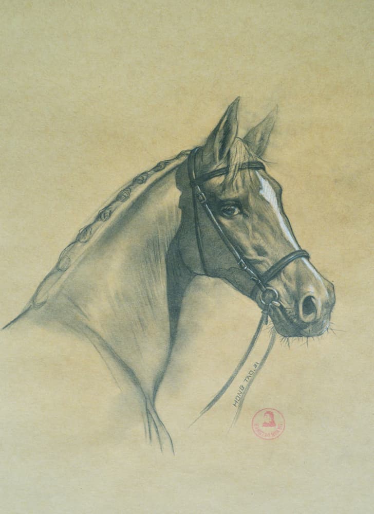 Noble Horse Portrait by Hongtao Huang — canvas wall art