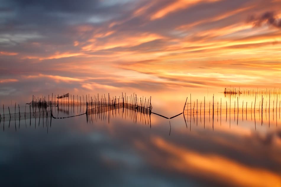 Golden Hour Fishing Nets by Jose Beut — canvas wall art