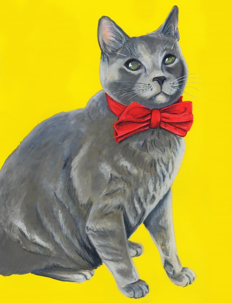 Grey Cat Red Bow Tie by Renee Machan Cottagecore Artist — canvas wall art