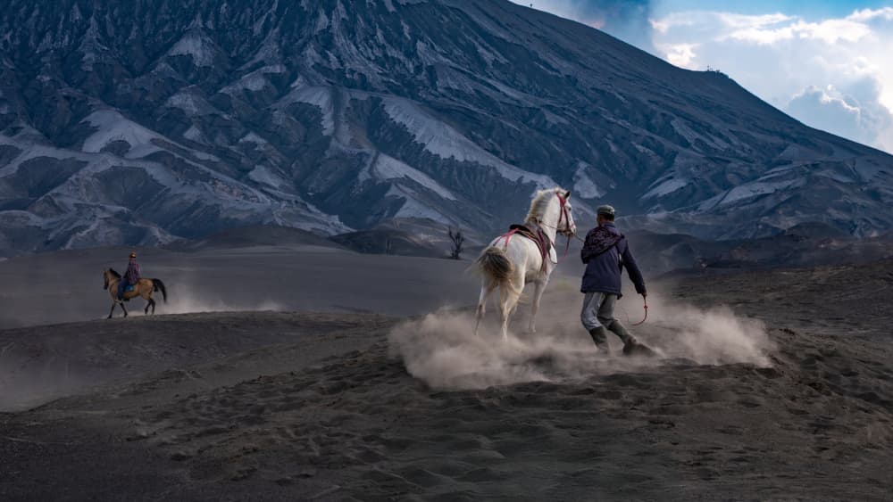 Volcano Horse Adventure by Chan Kim — canvas wall art