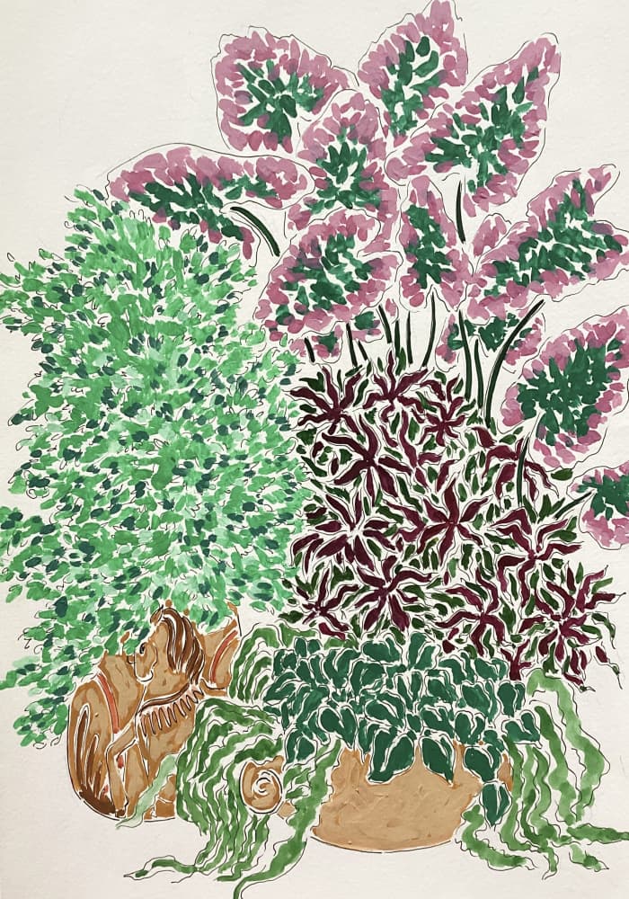 Vibrant Potted Plants by Rushati Chowdhury — canvas wall art