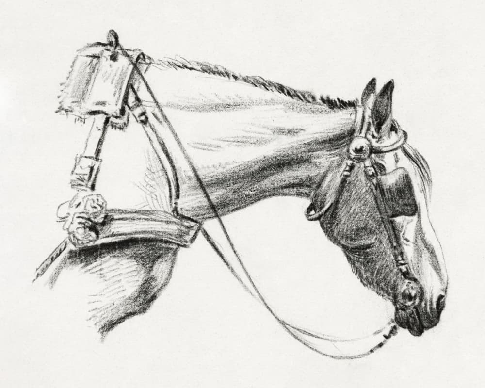 Head of a Horse (1820) by Jean Bernard — canvas wall art