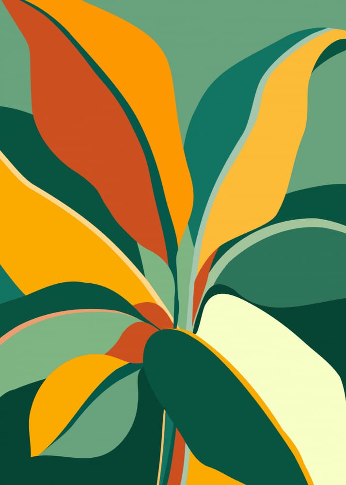Island Beauty by Kristian Gallagher — canvas wall art