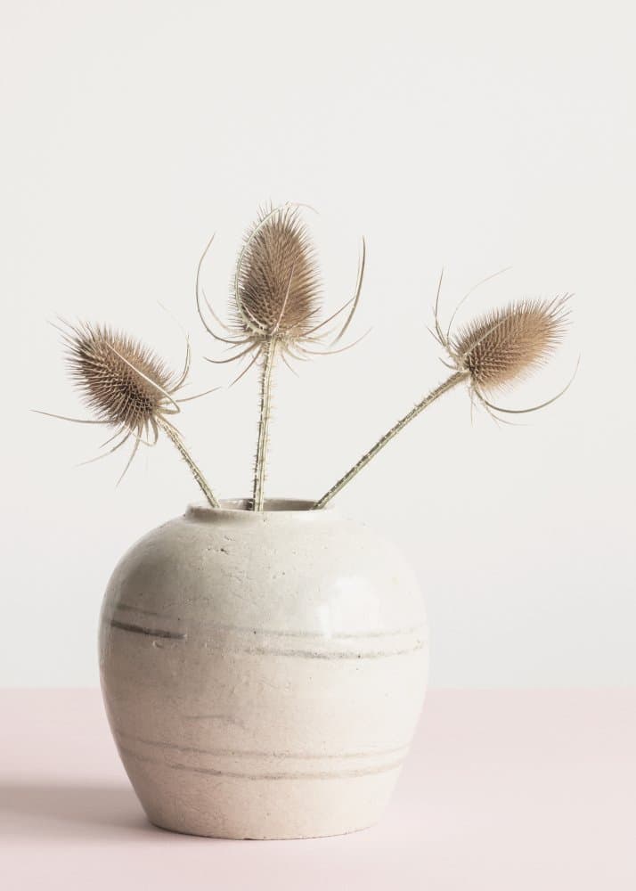 Earthy Dried Thistle Vase by Old Artists Studio III — canvas wall art