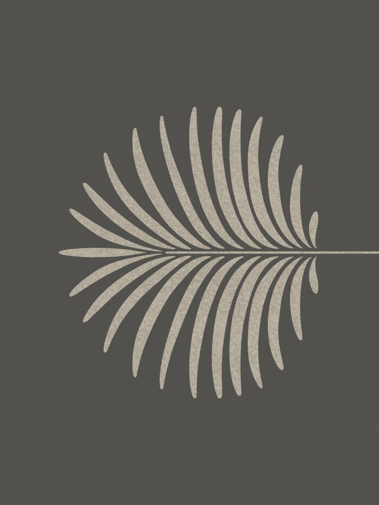 Minimalist Palm Frond by Krisztina Jung — canvas wall art