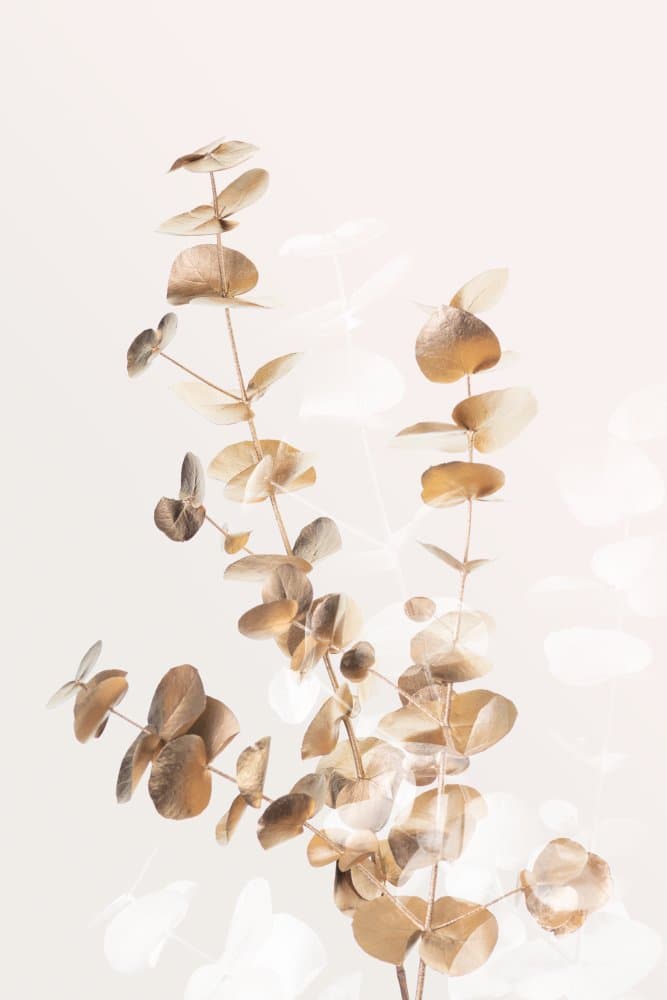 Golden Eucalyptus Branches by Old Artists Studio III — canvas wall art