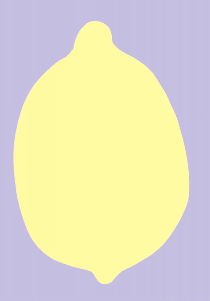 Lemon on Lavender by Athene Fritsch — canvas wall art
