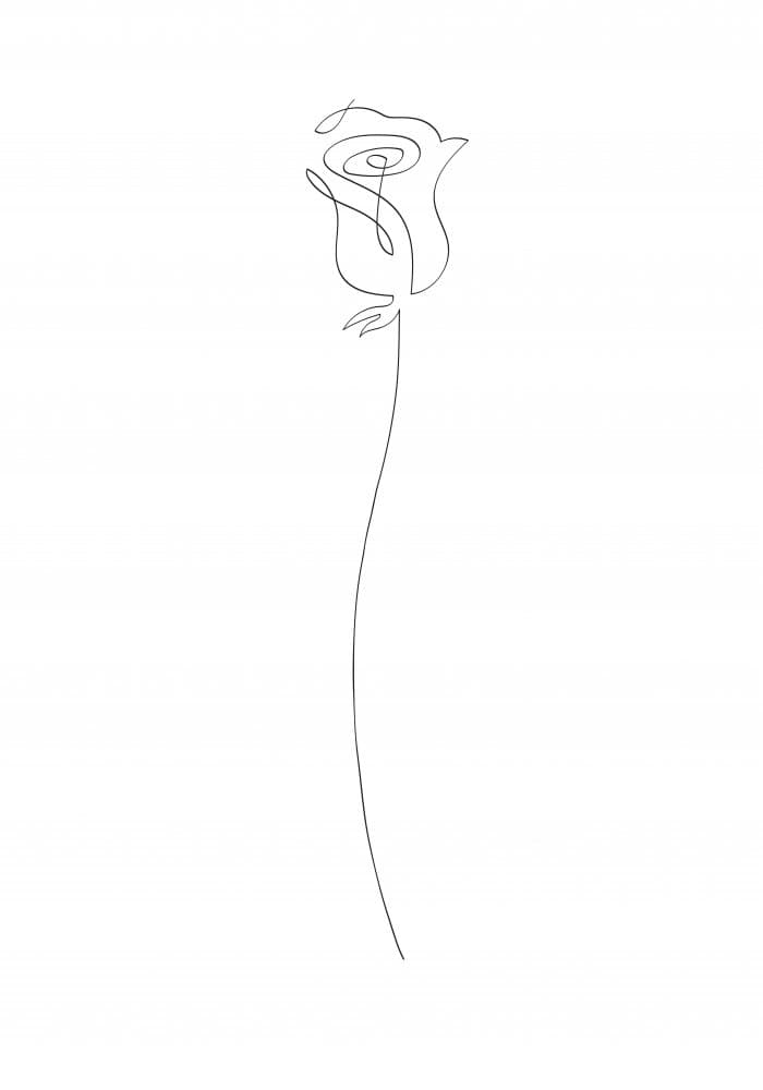 Elegant Rose Line Art by Old Artists Studio II — canvas wall art