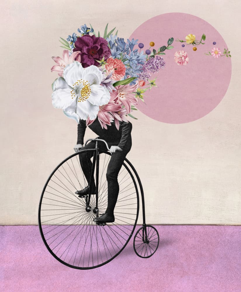 Flower Head Penny Farthing by Marja van den Hurk — canvas wall art