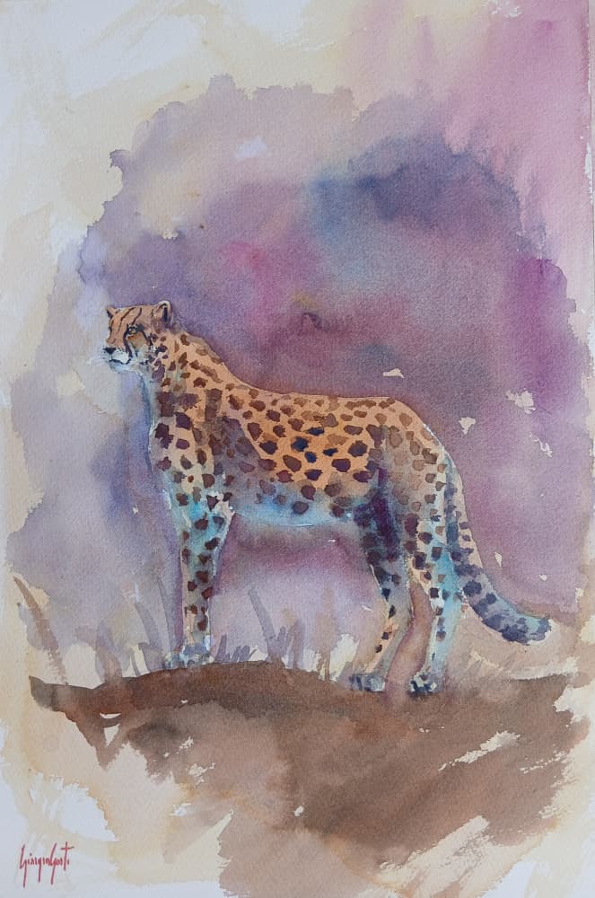 cheetah 13 by Giorgio Gosti — canvas wall art