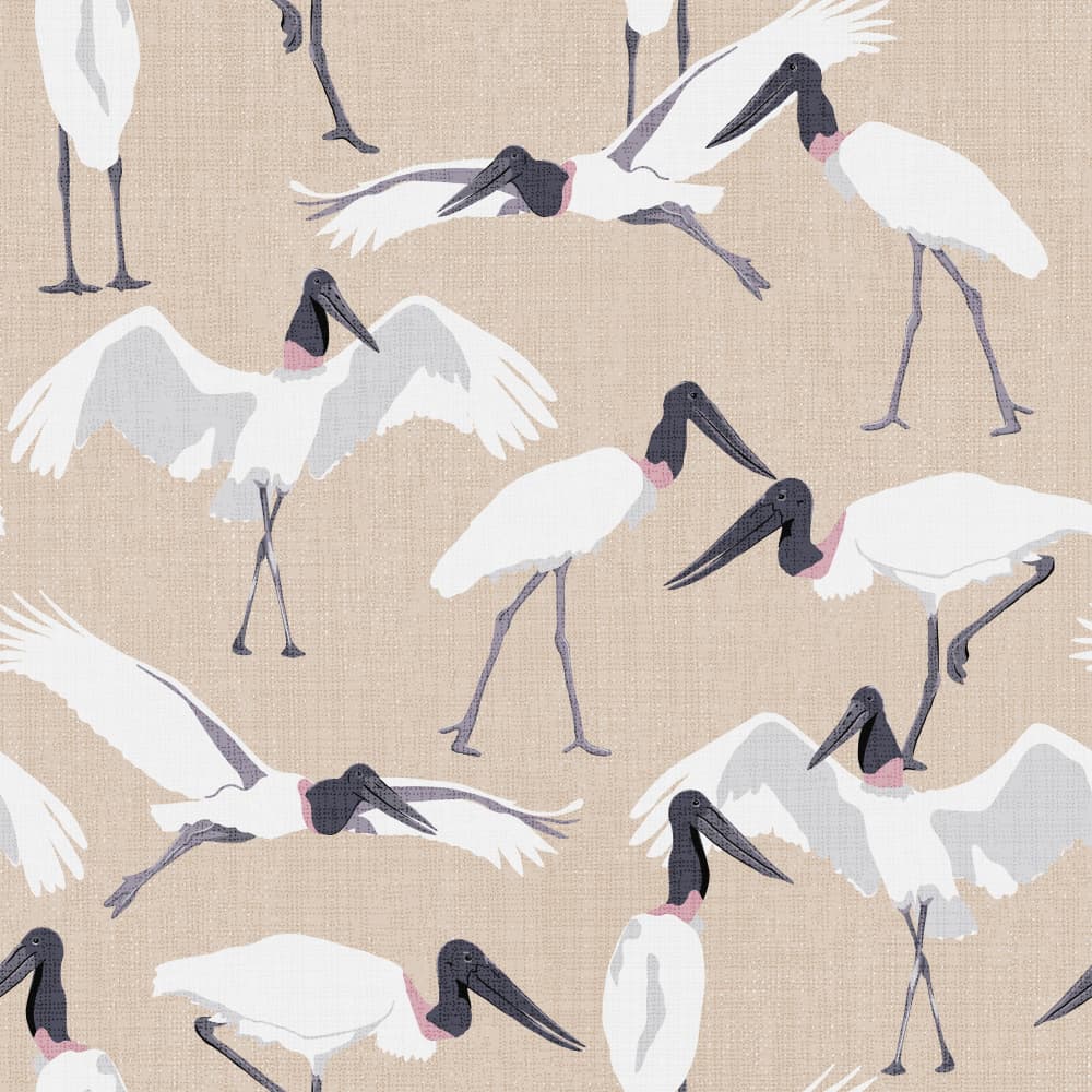 Graceful Jabiru Storks by Alexandra Weise — canvas wall art
