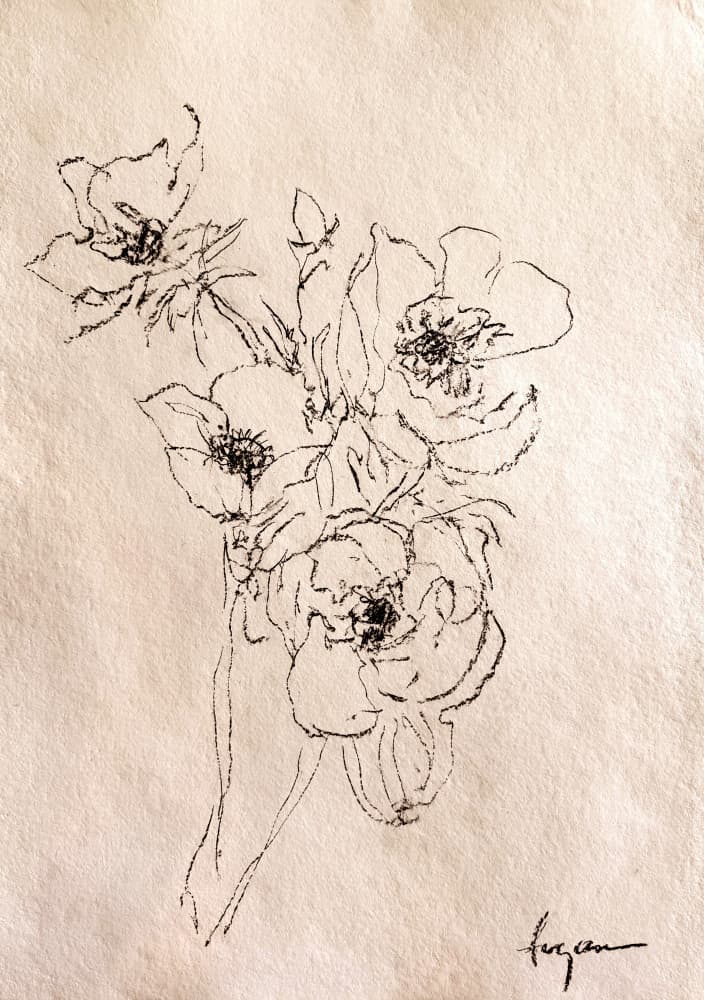 Delicate Floral Sketch by Dorothy Fagan — canvas wall art