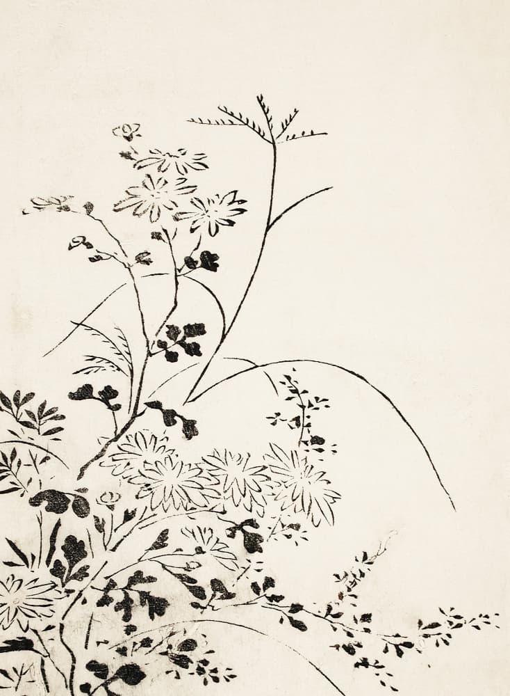 Autumn Flowers and Grasses (1762) by Miyazaki Yuzen — canvas wall art
