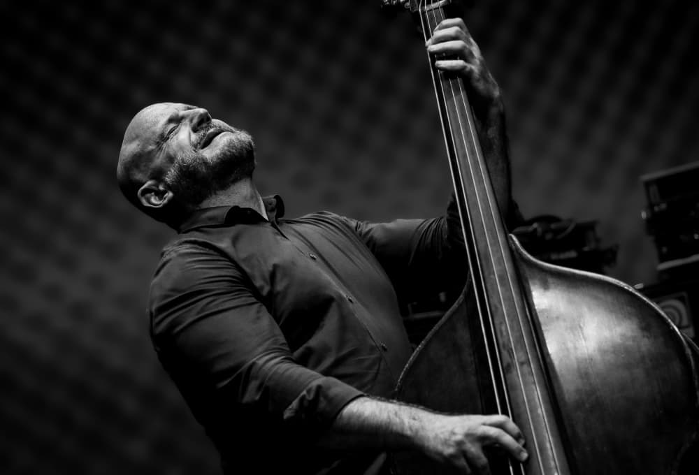 Soulful Bass Player by Dragoslav Nedici — canvas wall art