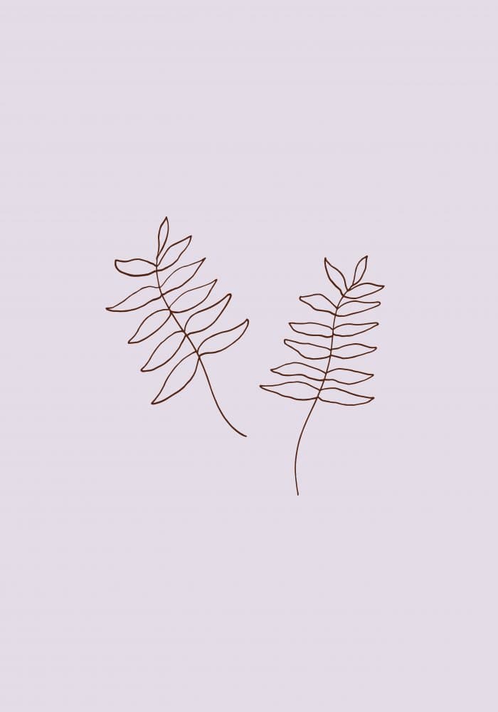 Delicate Botanical Lines by Old Artists Studio — canvas wall art