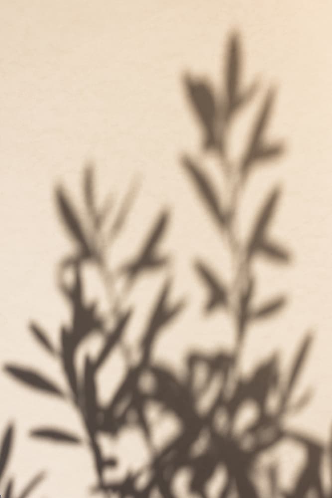 Summer Shadows 6 by Mareike Böhmer — canvas wall art