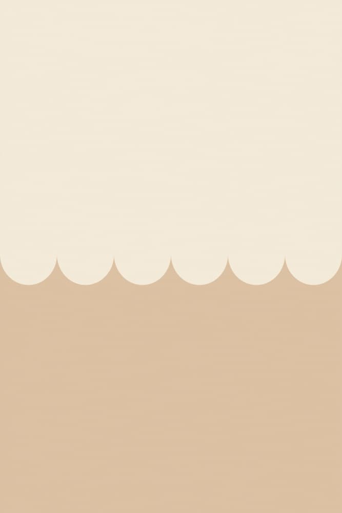 Soft Cream Scallops by Old Artists Studio — canvas wall art