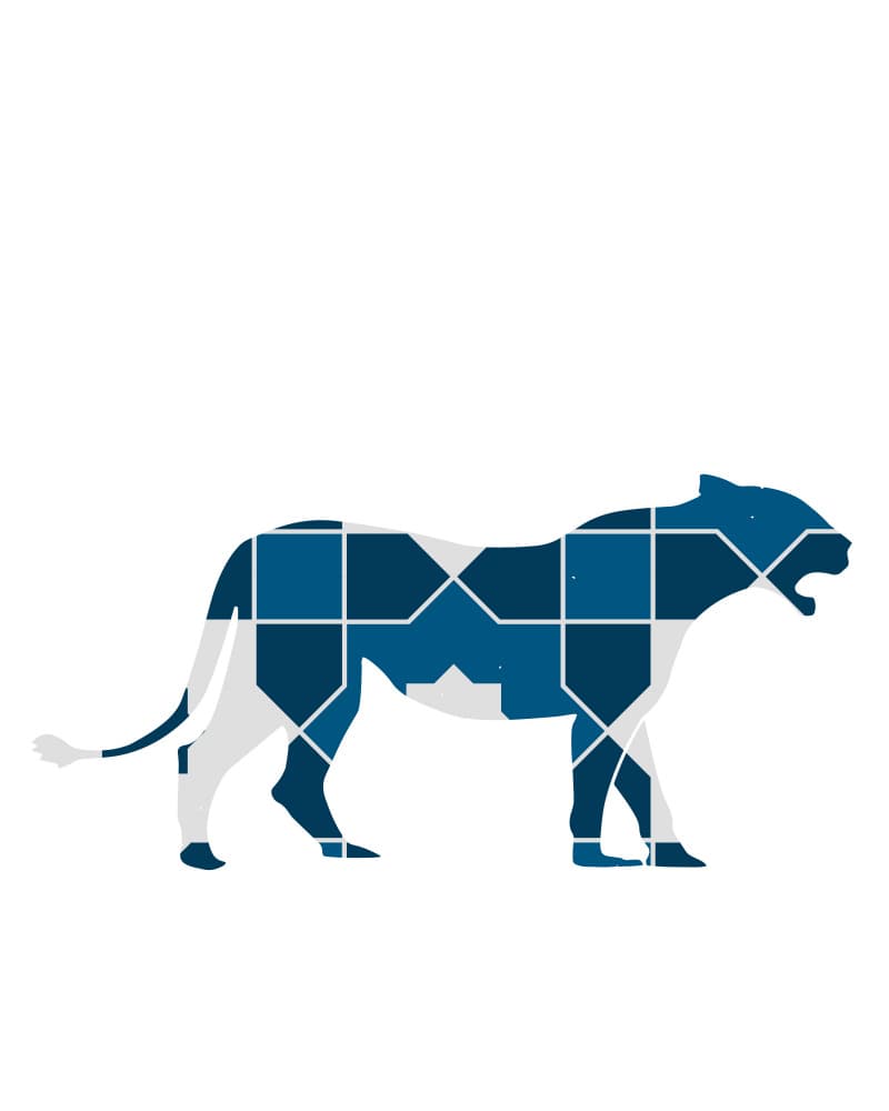 Geometric Panther Silhouette by Emiliano Deificus — canvas wall art