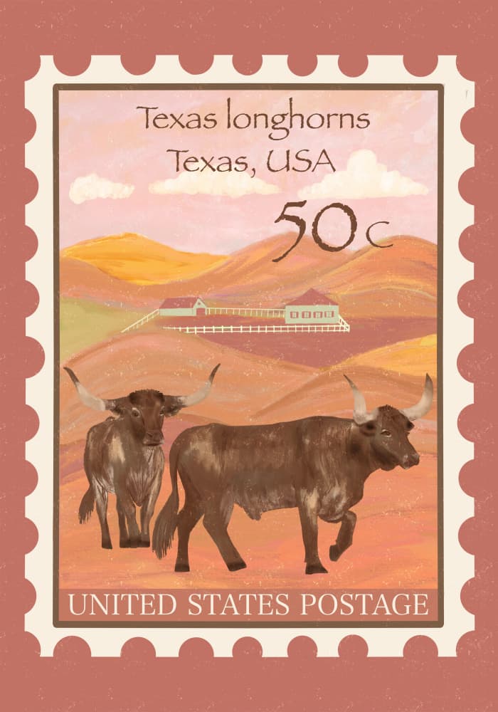 Texas Desert Longhorns by Aliya Putrus — canvas wall art