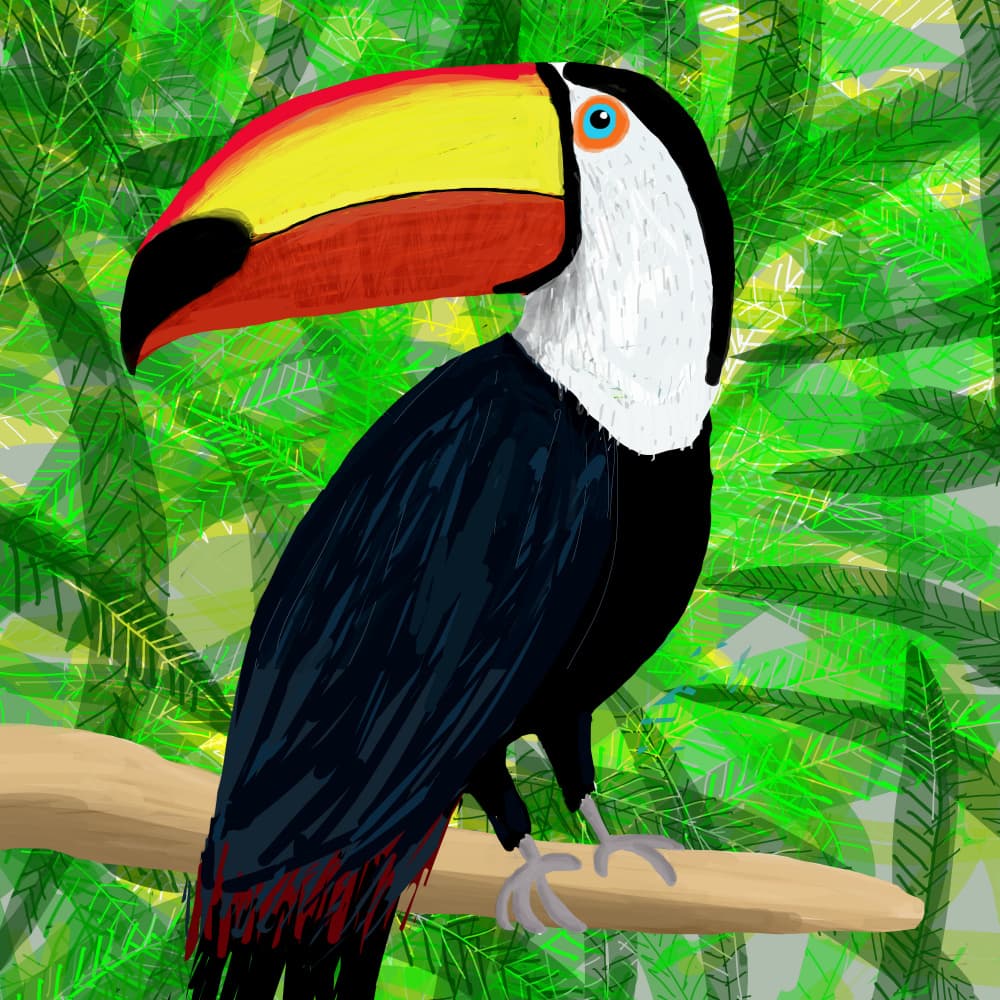 Tropical Toucan On Branch by Carla Daly — canvas wall art