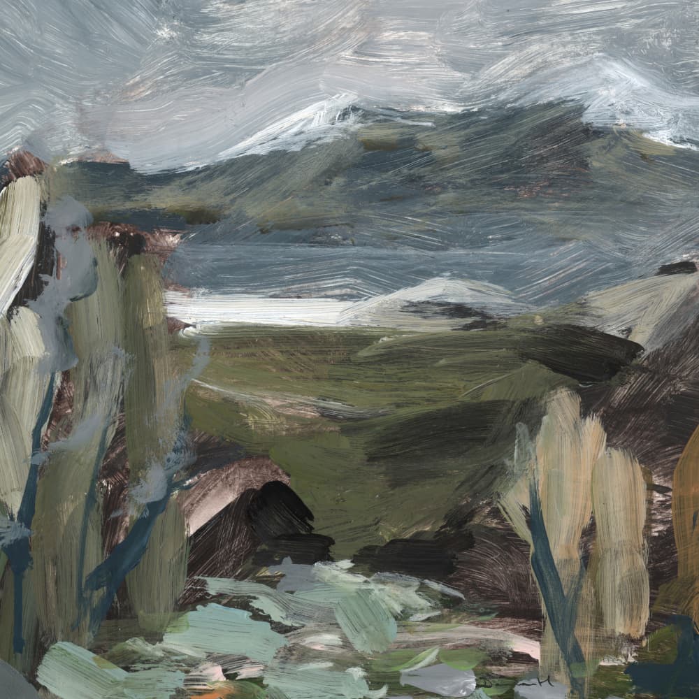 Swiss View by Dan Hobday — canvas wall art