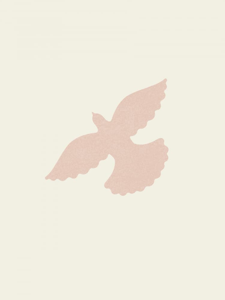 Pink Dove Flight by Krisztina Jung — canvas wall art