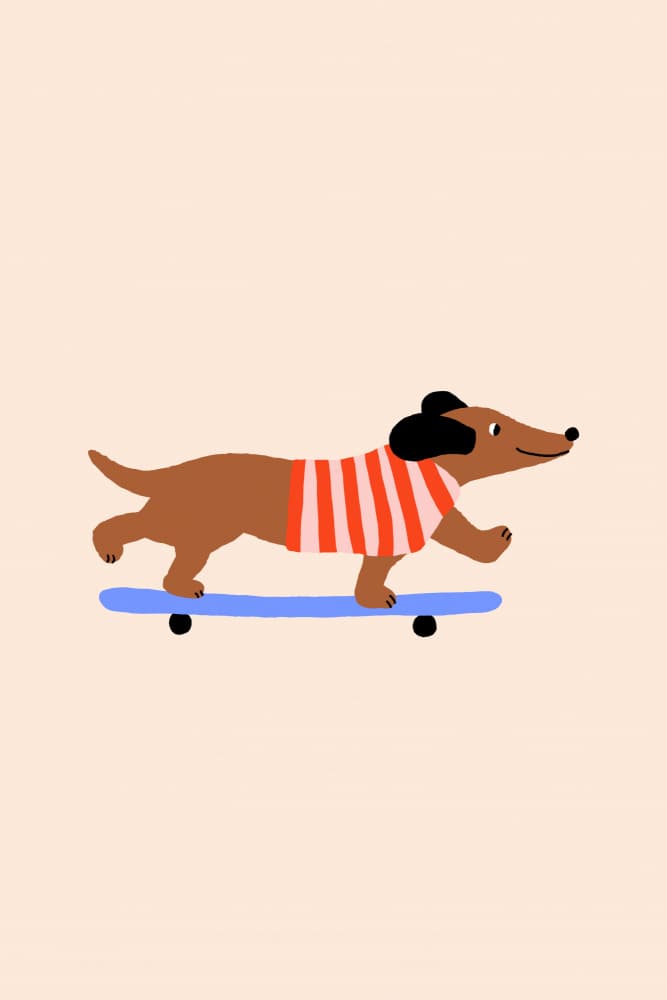 Skateboarding Dachshund Dog by Maren Gross — canvas wall art