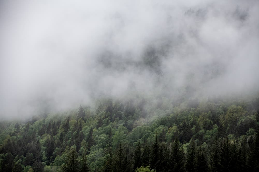 Somewhere In Norway 5 by Mareike Böhmer — canvas wall art
