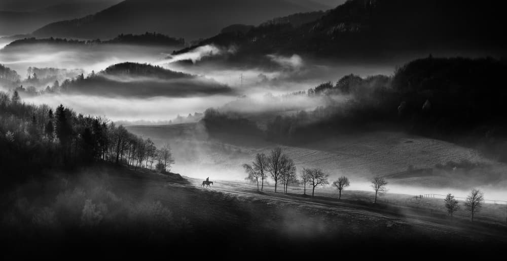 Misty Mountain Rider by Peter Svoboda MQEP — canvas wall art