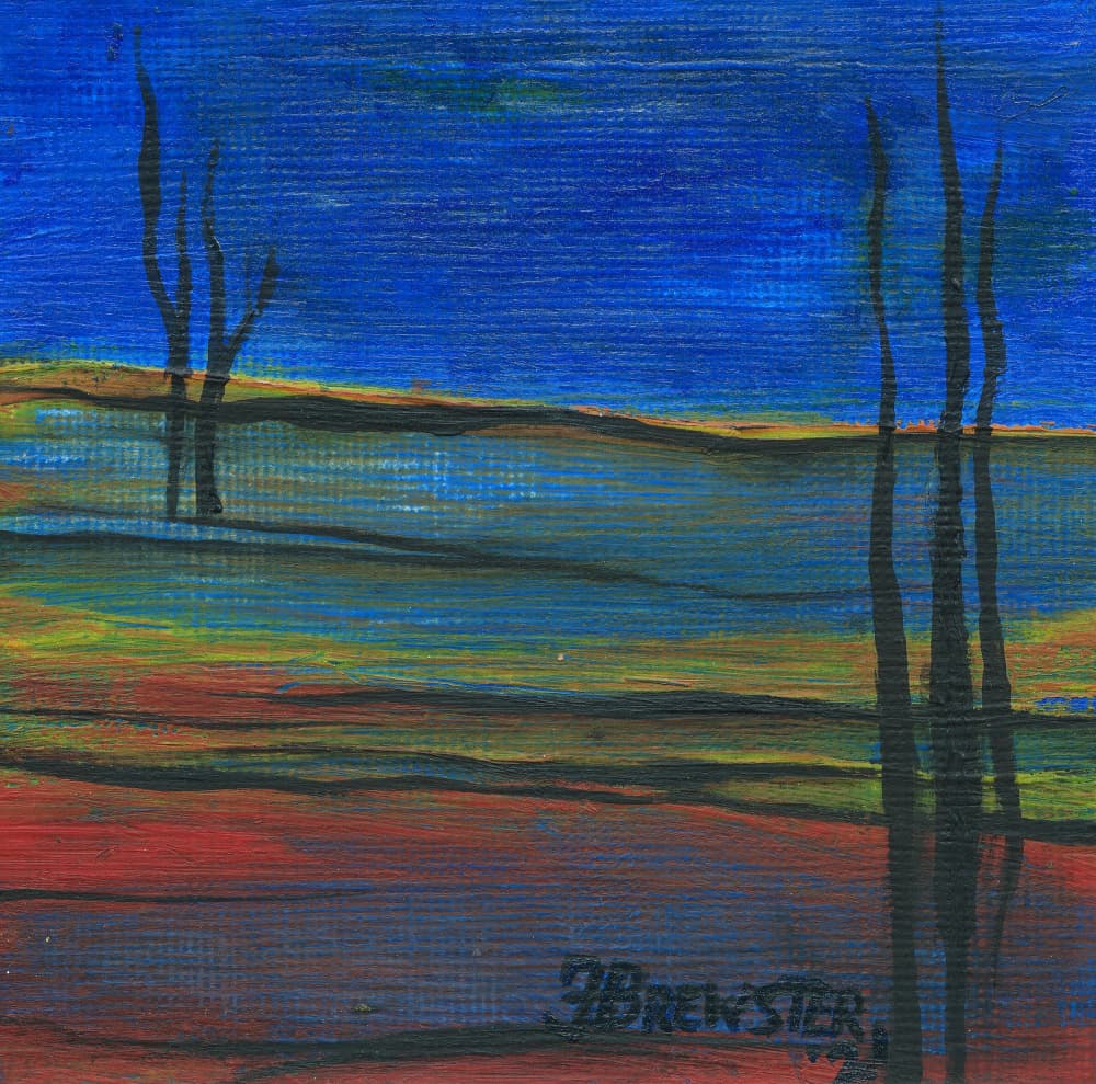 Vibrant Twilight Landscape by Janine Brewster — canvas wall art