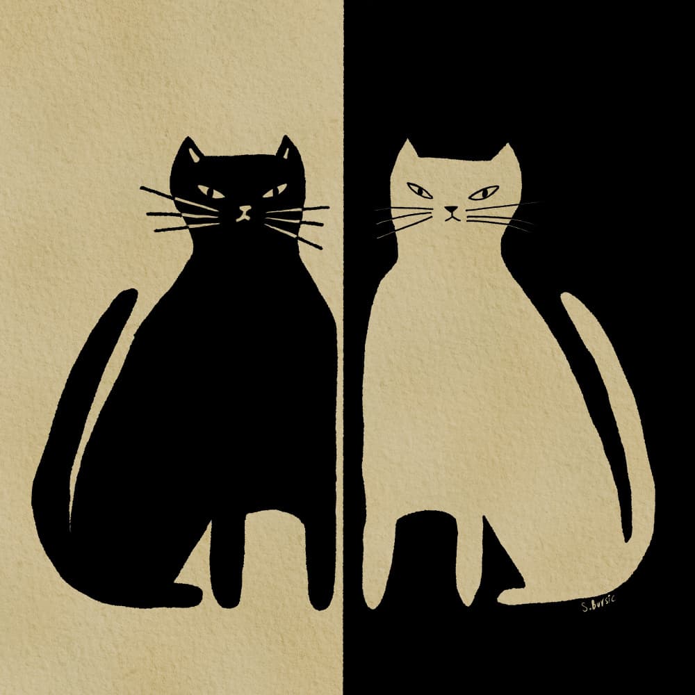 Contrasting Cats by Sharyn Bursic — canvas wall art