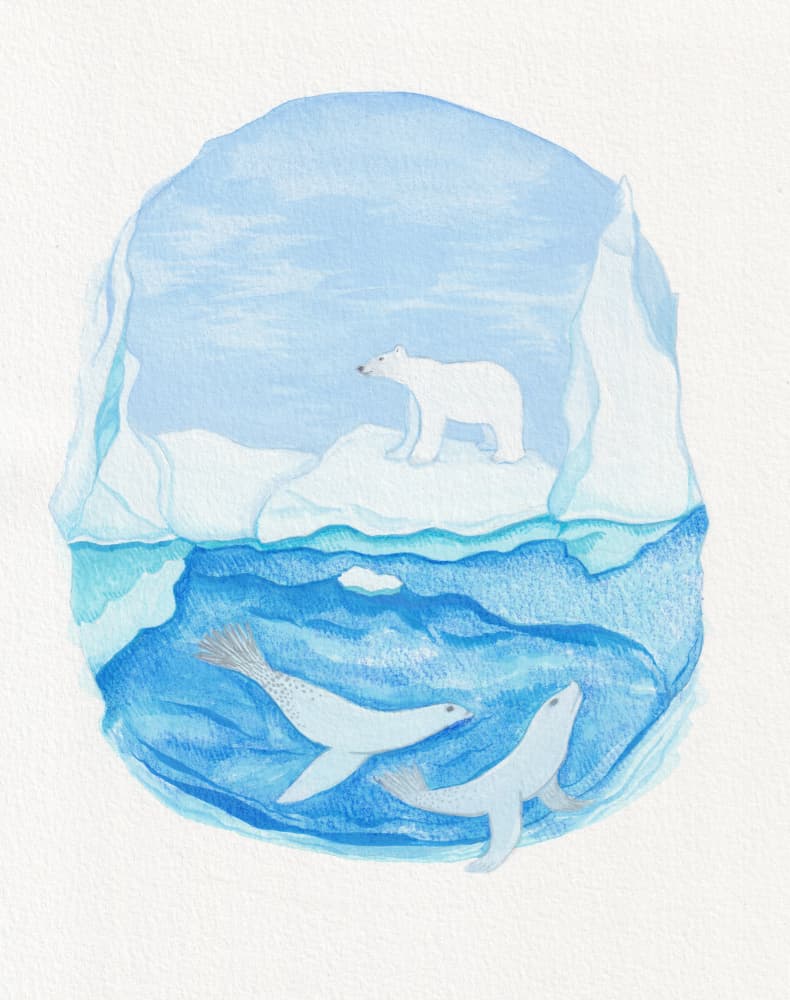 Arctic Bear and Seals by Anjana Mistry — canvas wall art