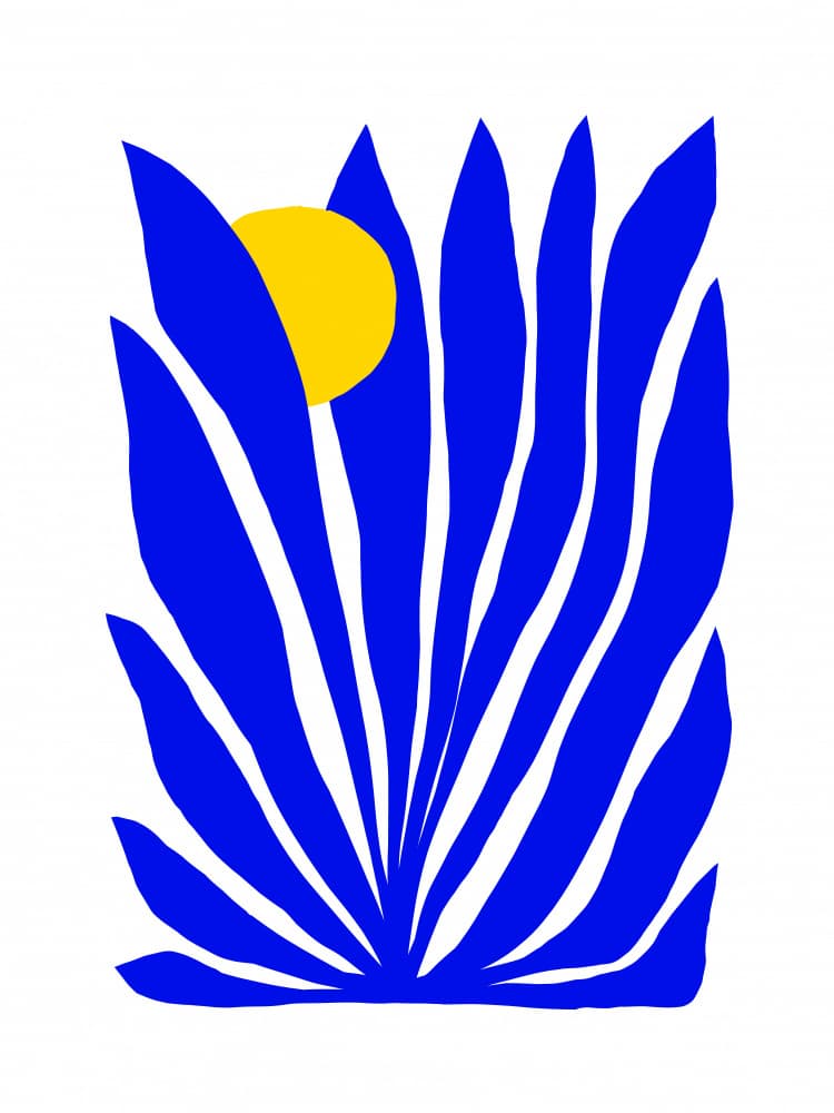 Blue Botanical Sun by Dominique Vari — canvas wall art