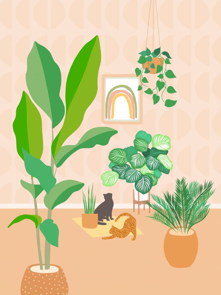 Botanical Cat Home by Dominique Vari — canvas wall art