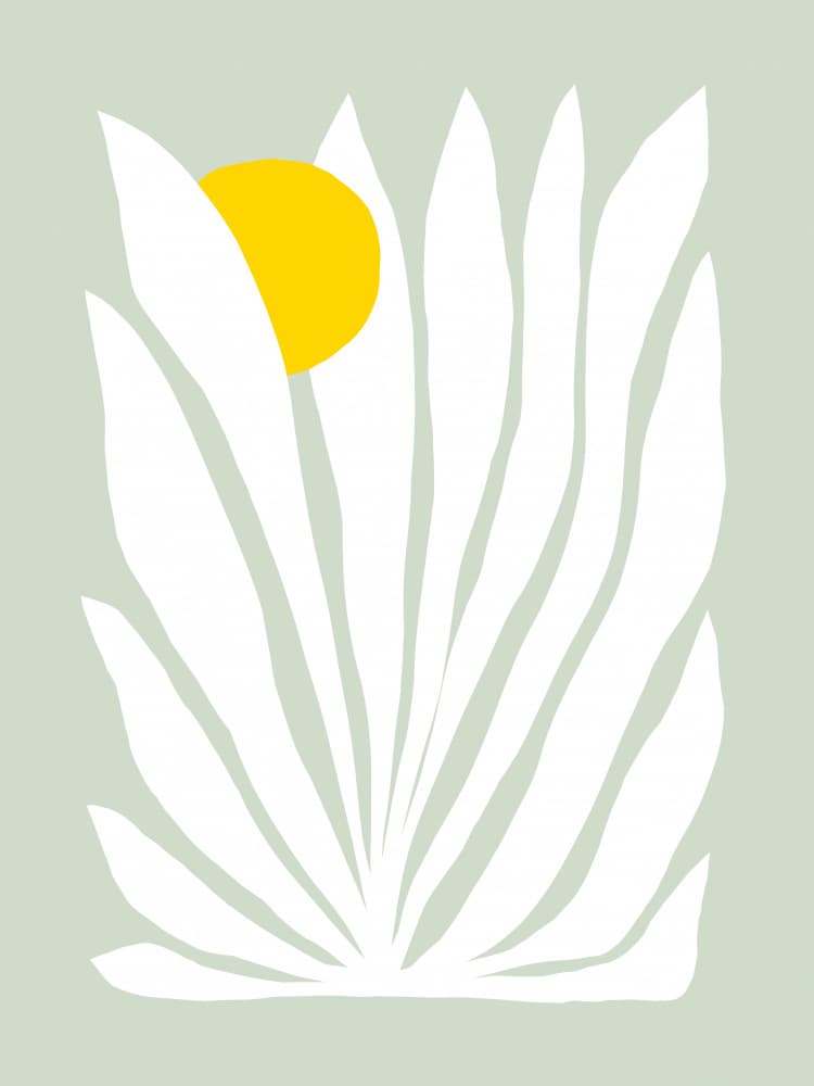 Organic Sun Bloom by Dominique Vari — canvas wall art